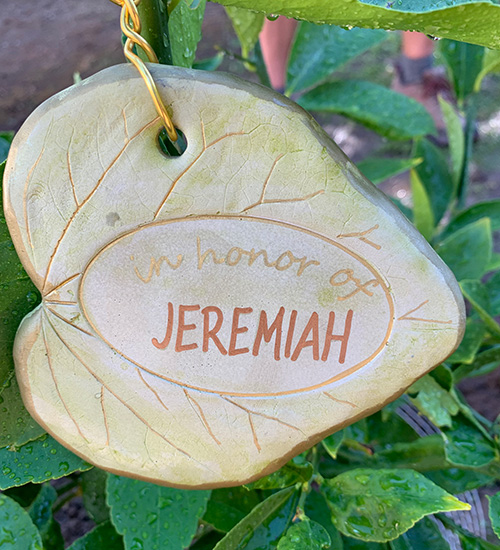 In honor of Jeremiah tree tag