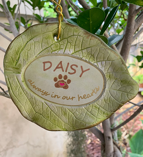 Daisy, always in our hearts tree tag