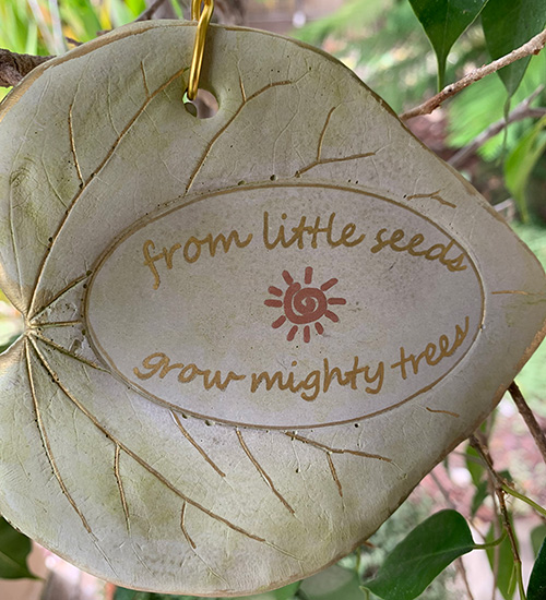 From little seeds grow mighty trees tag