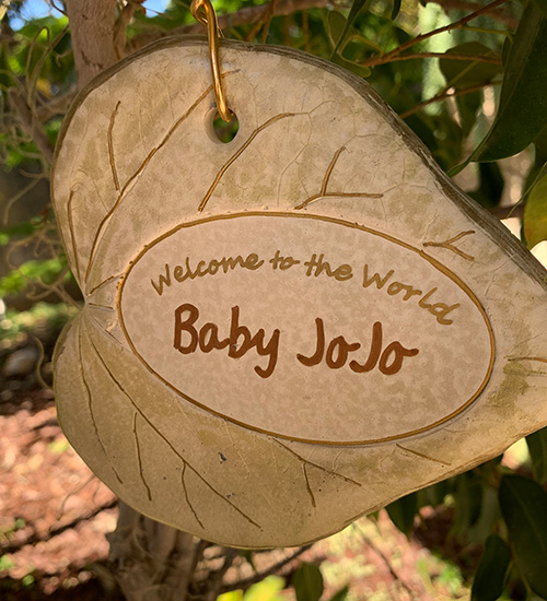 Welcome baby JoJo tree tag