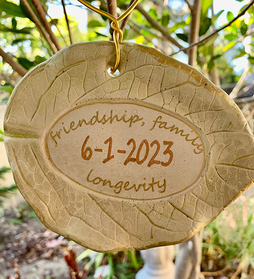 friendship family longevity tree tag